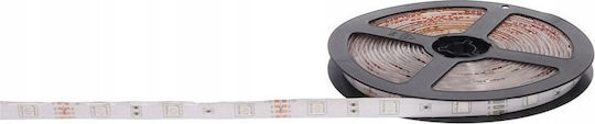 Prescot Ταινία LED 12V RGB Φως Τύπου SMD5050
