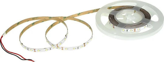 Eco Light Ταινία LED 12V Φυσικό Λευκό Φως 5m Τύπου SMD2835