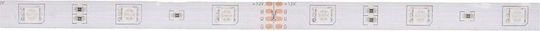Prescot Ταινία LED 12V RGB Φως Τύπου SMD5050