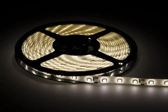 Eco Light Ταινία LED 12V Φυσικό Λευκό Φως 5m Τύπου SMD2835