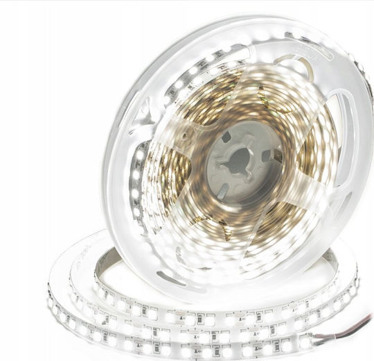 Eco Light Ταινία LED 12V Φυσικό Λευκό Φως 5m Τύπου SMD2835