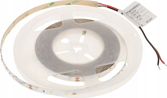 LED Strip 12V Natural White Light 5m Type SMD2835