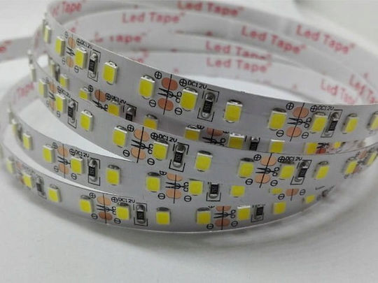 Prescot LED Лента 12V 5м Тип SMD2835