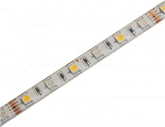Avide Waterproof LED Strip ABLS12V5050-60RGBW65 12V Natural White Light 5m Type SMD2835