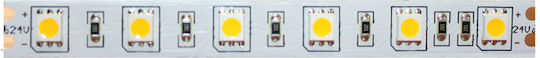 Aca Ταινία LED 24V Κόκκινο Φως 1m Τύπου SMD2835