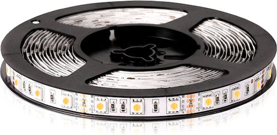 LED Лента 24V 3м
