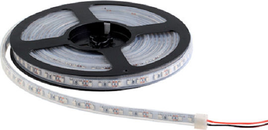 Elmark Wasserdicht LED-Streifen 12V Kaltweiß Licht 1m Typ SMD5050
