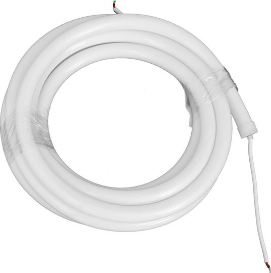 Eko Light Wasserdicht LED-Streifen 12V RGBW Licht 5m Neon Flex