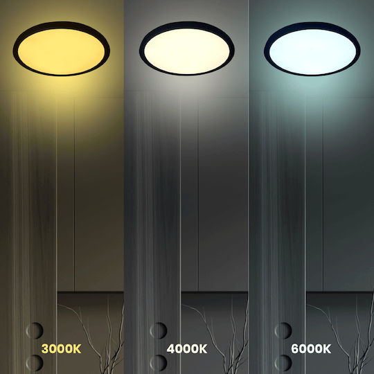 Eko Light Ceiling Mount Light Black with Integrated LED