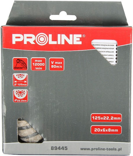 Proline Schleifscheibe Baumaterialien 115mm