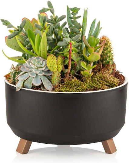 Viosarp Tripod Set 2 Plastic Beige Flower Pots