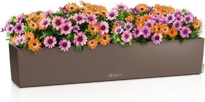 Lechuza Balconera Selbstbewässernd Blumenkasten Kunststoff Reddish Brown 100x19x19cm.