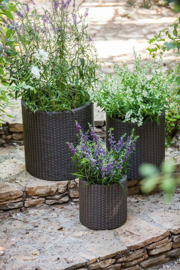 Keter Set of 3 Plastic Flower Pots Anthracite 43.4cm