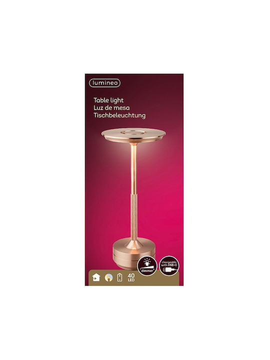 Lumineo Decorative Lamp Copper
