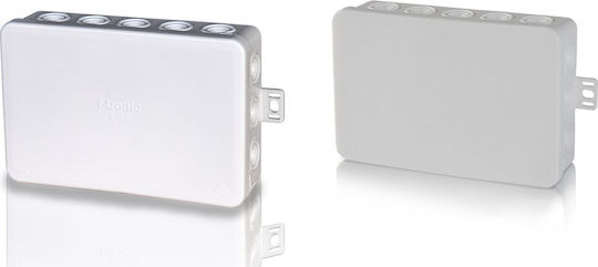 Spamel Elektrisches Gehäuse Verzweigung IP54 in Gray Farbe
