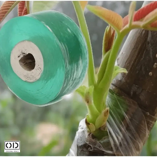 Grafting Tape Fruit Trees Premium Efficiency Material Transparent Size 100m X 6cm Original Deals
