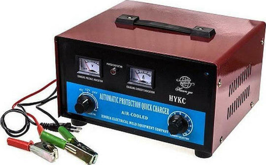 ACP Φορτιστής Μπαταρίας Αυτοκινήτου 12V