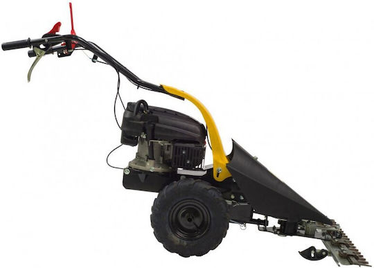 Texas CB8700 Benzină în patru timpi Cu roți Tăietor de iarbă 3.35hp 59kg