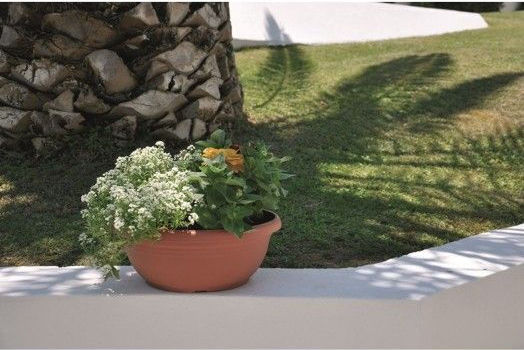 Festone Κασπώ Πλαστικό Πορτοκαλί
