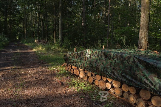 Camo Forest Waterproof Tarpaulin 3 x 3m 90g/m²
