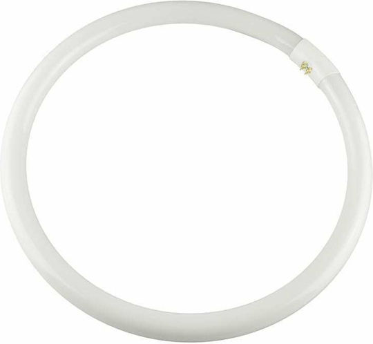 Redled Lampă Fluorescentă pentru Dulie G10Q 40W