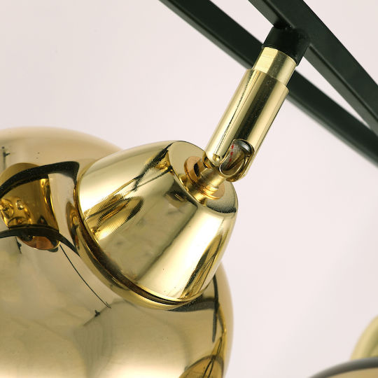Agora Lighting Ceiling Light