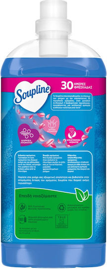 Soupline Concentrated Fabric Softener Mistral 60 Washes 1.26lt