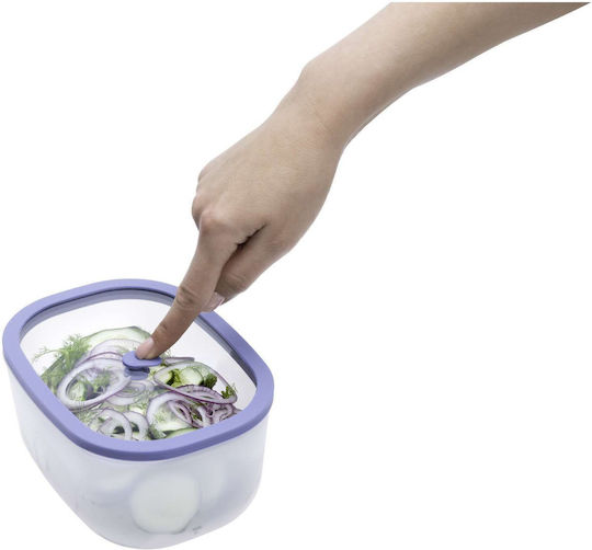 Status Lunchbox Kunststoff Grün 2300ml 1Stück