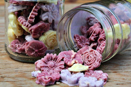 Wachsschmelzen 60g 80 Stunden Brenndauer Orchidee