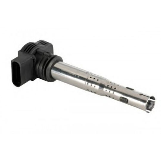 Induction Coil Audi A3 8l1 Beru Zse043