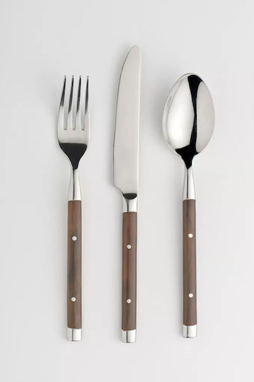 Eternum Stainless Steel Brown Spoons 11cm 8005-26 Eternum Stainless Steel Brown Spoons 11cm 8005-26