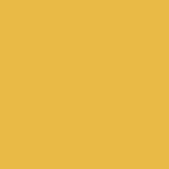 Royal Talens Ölfarbe 20ml Van Gogh Kadmiumgelb Lt 3s