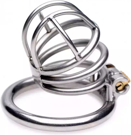 Xr Brands Pen Deluxe Lockable Cock Cage