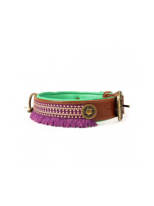Zgarda Dwam Hazel L Zgarda Dwam Hazel L