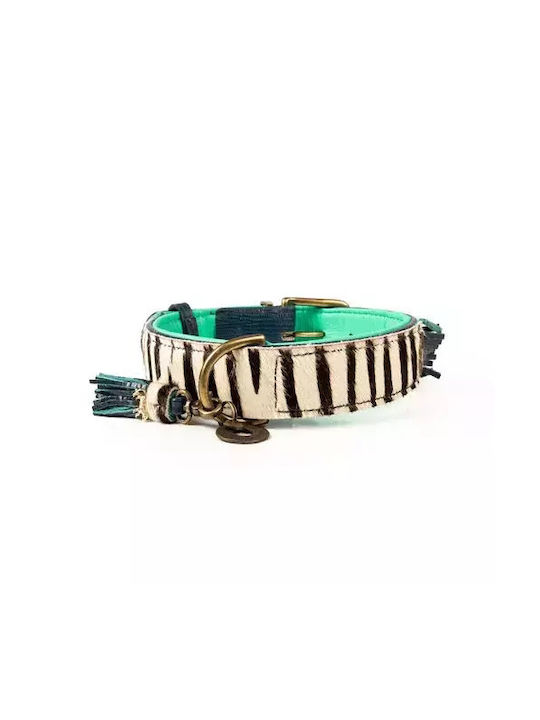 Περιλαίμιο Dwam Zara Collar S