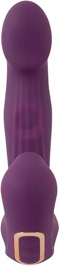 Vagina Clitoris Vibrator