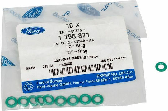 Injector O-ring Seal Ford Transit 2.2d-3.2d 04.06