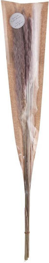 Florista Iarbă de Pampas 70cm Plastic Natural