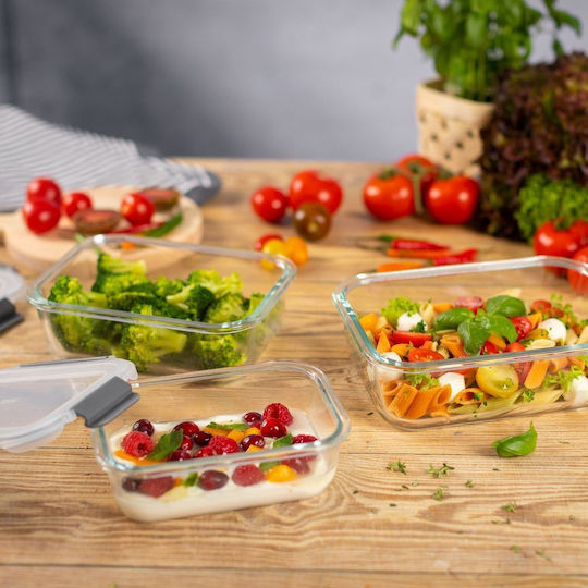 Kuhn Rikon Set Mittagsboxen Transparente 3 Stück