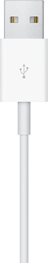 Apple Ladegerät für Apple Watch Modelle Weißς
