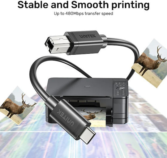 Unitek USB 2.0 Cable USB-C male - USB-B Black 2m (C14140ABK-2M)