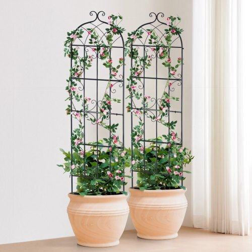 Vevor Set of 2 Metal Plant Climbing Supports 71x20 In Rust Resistant Hpjhx2jth71wkvlcjv0