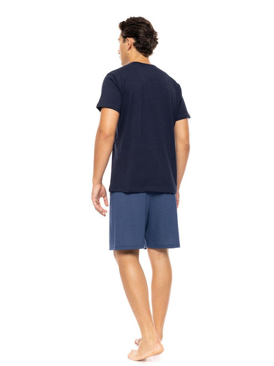 Ulisse Navy, Moss, Cosmos Blue