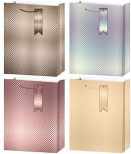ForHome Χάρτινη Τσάντα για Δώρο Πολύχρωμη 23x10x18εκ. 12τμχ