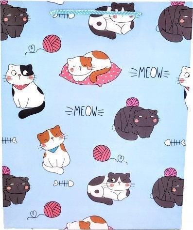 Ast Bag X 12 Gift Cats 4 Wz 40x30x12 Cm