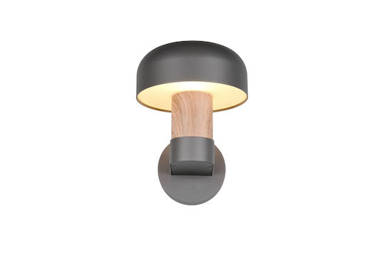 Trio Lighting Fraser Lumină de exterior montată pe perete