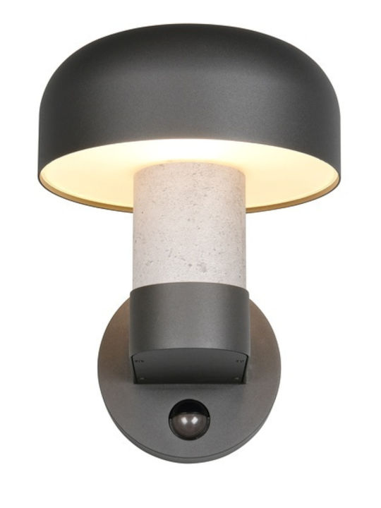 Trio Lighting Fraser Wandmontierte Außenleuchte