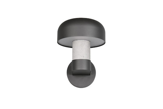 Trio Lighting Fraser Wandmontierte Außenleuchte
