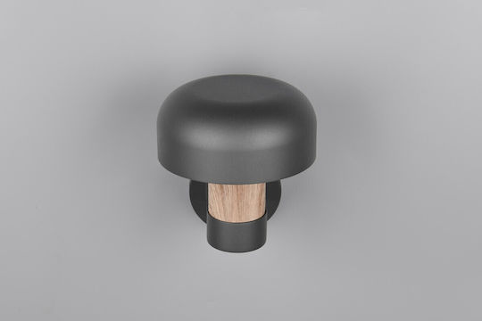 Trio Lighting Fraser Lumină de exterior montată pe perete