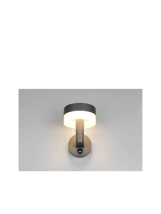 Trio Lighting Mackenzie Стенно Външно Осветително Тяло